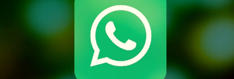 Speed Up Your WhatsApp Web Messaging Experience