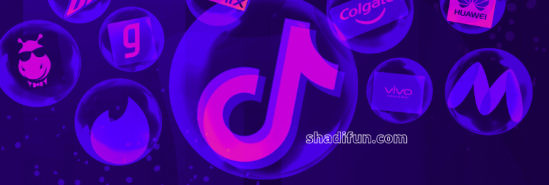 Meta and TikTok Innovate to Boost Brand-Content Creator Synergy
